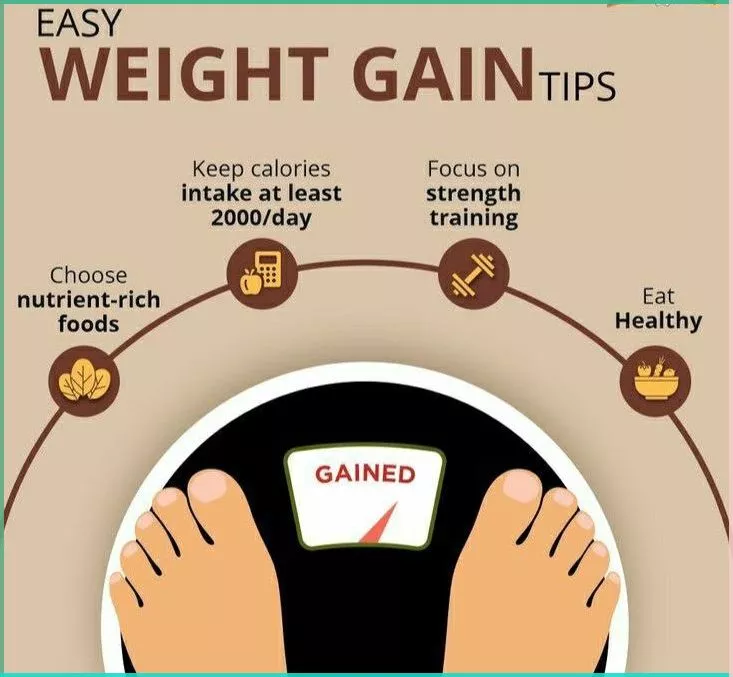 diet plan for weight gain